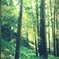 FxCam_1332987308013