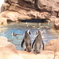 京都水族館