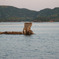 九十九島の河童
