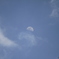 覗く月