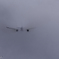 Diving into the cloud
