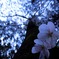 DSCN3815