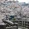 鼎小橋