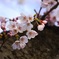 背が小さくても・・・
