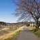 散歩道