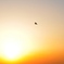 夕暮れ