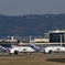 B787特別塗装機ツーショット