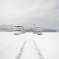 雪原の双隻