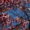 DSC00428