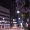 DSC00471