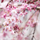 昼休みのしだれ桜