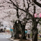 桜まつり