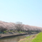 2年生