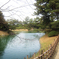 栗林公園02