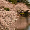 DSC_2438 resize