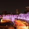 ミッドタウンの夜桜
