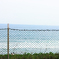 海岸線上