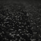 2012夜桜惨敗宣言