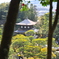 京都の旅【銀閣寺】