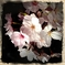 夜桜