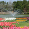 公園