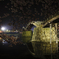 桜と錦帯橋