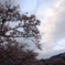 見上げると澄んだ空