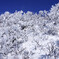吹雪作　作品番号125番