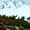 立山の主