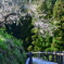 広橋梅林