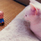 まるとおじいちゃん