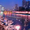 浪花夜桜の宴