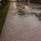 SDIM8939_2