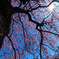 R0012584