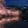 夜桜の見れる家