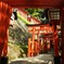 千本鳥居