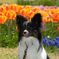 photo_1745935
