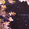 花筏