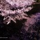 花の浮き橋