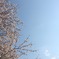 空に向かって