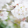 公園010
