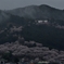 霧に包まれる桜山