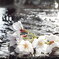 桜　Scene02