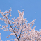 降る