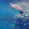 美ら海水族館1