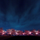 夜桜