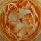 DSCF0845