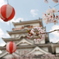 桜と福山城