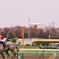 皐月の空へ向かって
