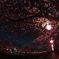 乞田川の夜桜